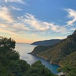 The Olive Garden, Kabak