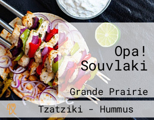 Opa! Souvlaki