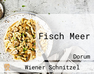 Fisch Meer