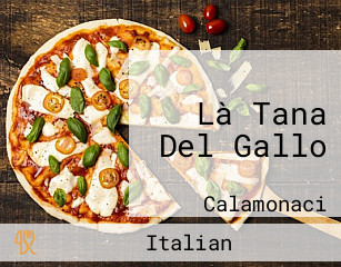 Là Tana Del Gallo