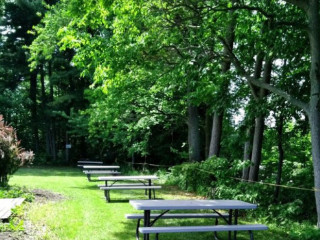 Picnic By The Harbour At Harbour Estates