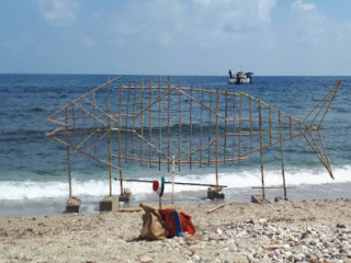 Les Pins Parasols