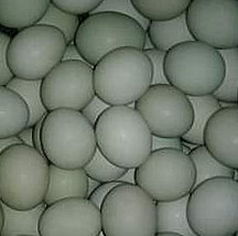 Jual Telur Asin Murah Lamongan No Wa 085730499014