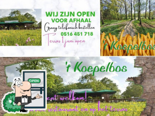 't Koepelbos