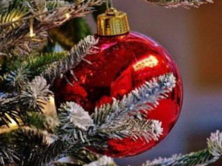 Antałek Kalwacińska D