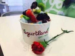 Yogurtland