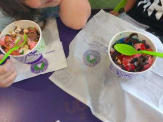 Yogurt Mountain Florence Alabama