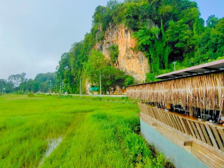 ร้านกาแฟ ชุมทาน ริมทุ่ง นาหมื่นศรี