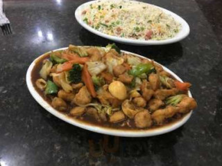 Wok Comida Chinesa