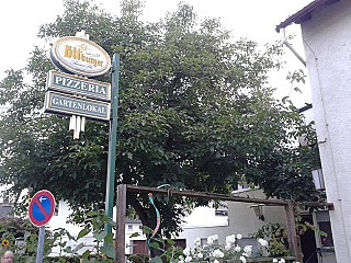 Pizzeria Da Enzo