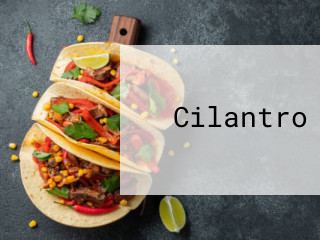 Cilantro