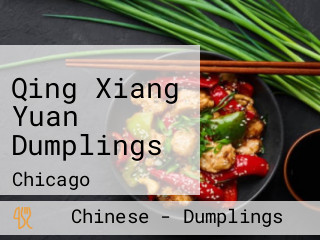 Qing Xiang Yuan Dumplings