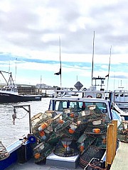 Beachcombers on the Wharf