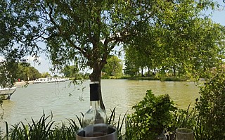 La Terrasse du Port