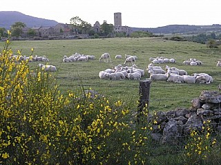 Auberge Regordane