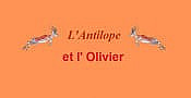 L' Antilope