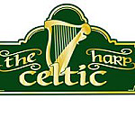 The Celtic Harp