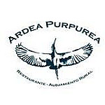 Ardea Purpurea