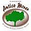 Antico Morer