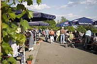 Franken Weingut Bauerschmitt