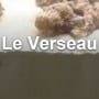 le verseau