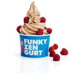 Funky Frozen Yoghurt