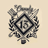 Camoly 13