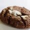 Ginger Chocolate Cookie