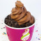 Small Frozen Yogurt (6Oz)