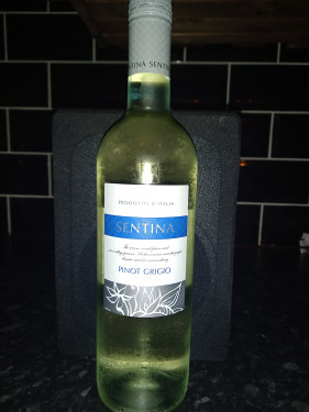 Pinot Grigio Italy (White)