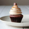 Mocha Cupcake [6 Pieces]