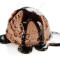 Chocolate Ice Cream With Chocolate Sauce