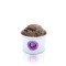 Begium Dark Chocolate Scoop