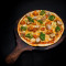 10 Fresh Dough Chicken Lovers Pizza