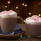 12Oz Peppermint Mocha Latte