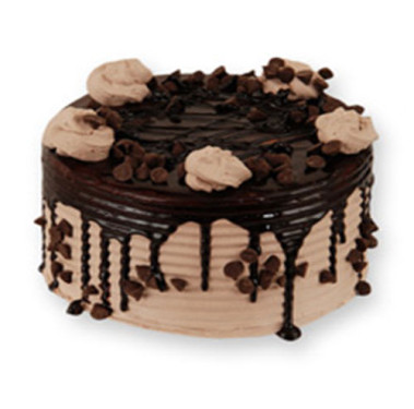 Choco Chips Cake 450Gm