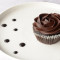 Dark Chocolate Decadence Cupcake