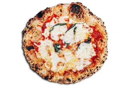 Margherita Vg