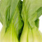 30. Shàng Hǎi Bái Cài Bok Choy