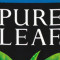 Pure Leaf Black Sweetened