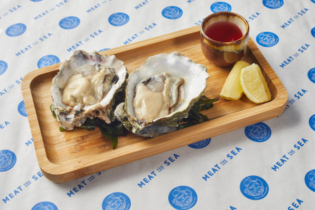 Dutch Medium Size Oyster