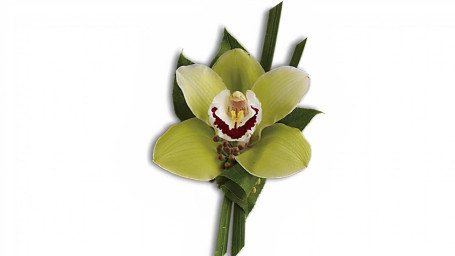 Green Orchid Boutonniere