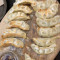 Chicken Pork Gyoza (Dumplings)