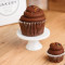 Mini Sour Cream Fudge Cupcake