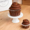 Jumbo Sour Cream Fudge Cupcake