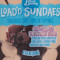 Blue Bunny Load'd Sundaes Chocolate Brownie Bomb, 8,5