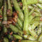 V4. Braised String Beans