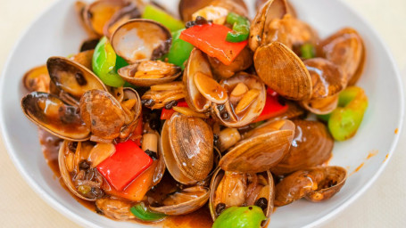 E7. Stir-Fry Clams W/ Black Bean Sauce Shì Zhī Chǎo Dà Xiàn