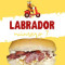 Nº7- Labrador