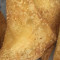 A8. Fried Crab Rangoons (Cheese Wonton) (4)